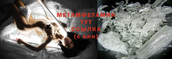 ГАЛЛЮЦИНОГЕННЫЕ ГРИБЫ Аркадак