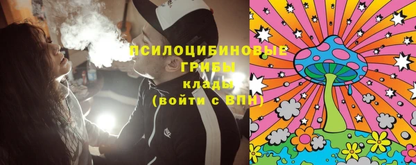 тгк Арсеньев