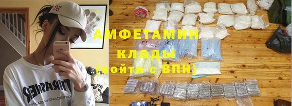 ГАЛЛЮЦИНОГЕННЫЕ ГРИБЫ Аркадак