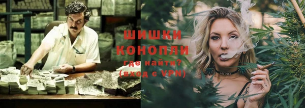 ГАЛЛЮЦИНОГЕННЫЕ ГРИБЫ Аркадак